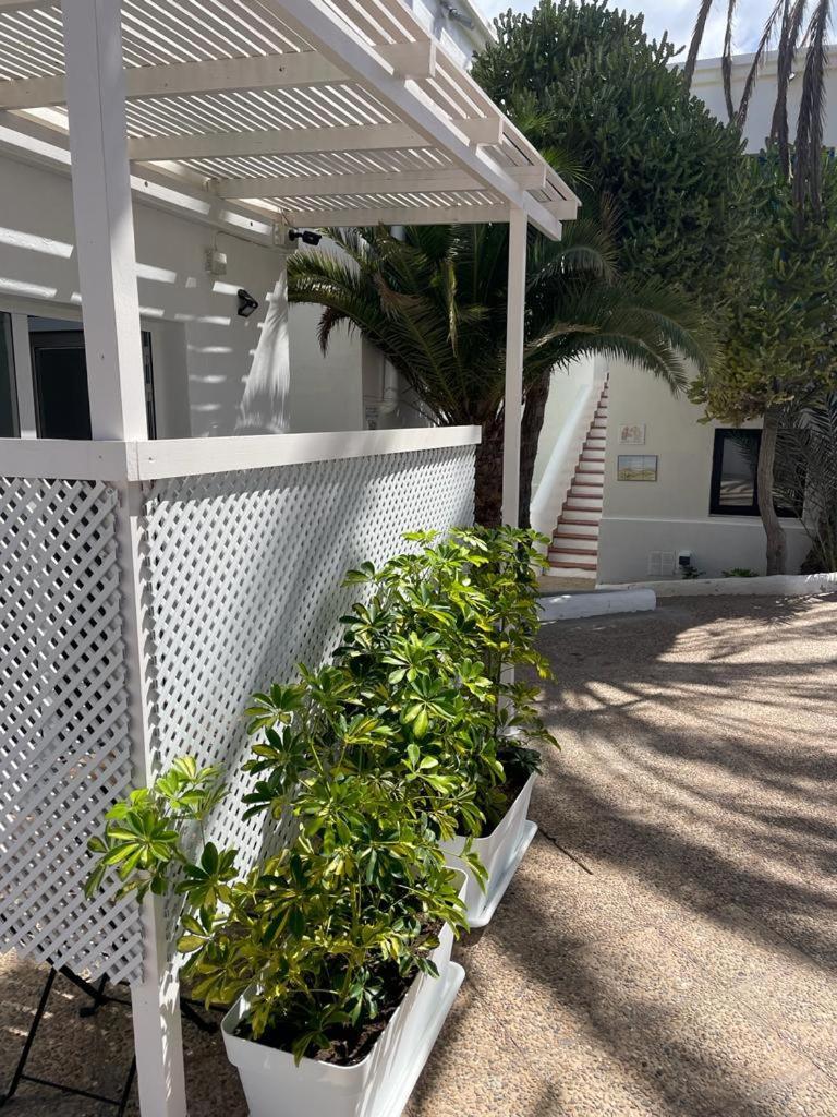 Apartamentos Punta Elena Beach Corralejo Ngoại thất bức ảnh